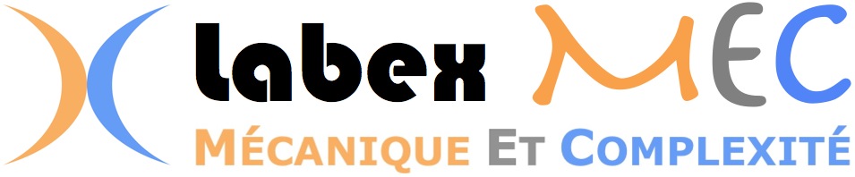 Logo_Labex_MEC_1.jpg